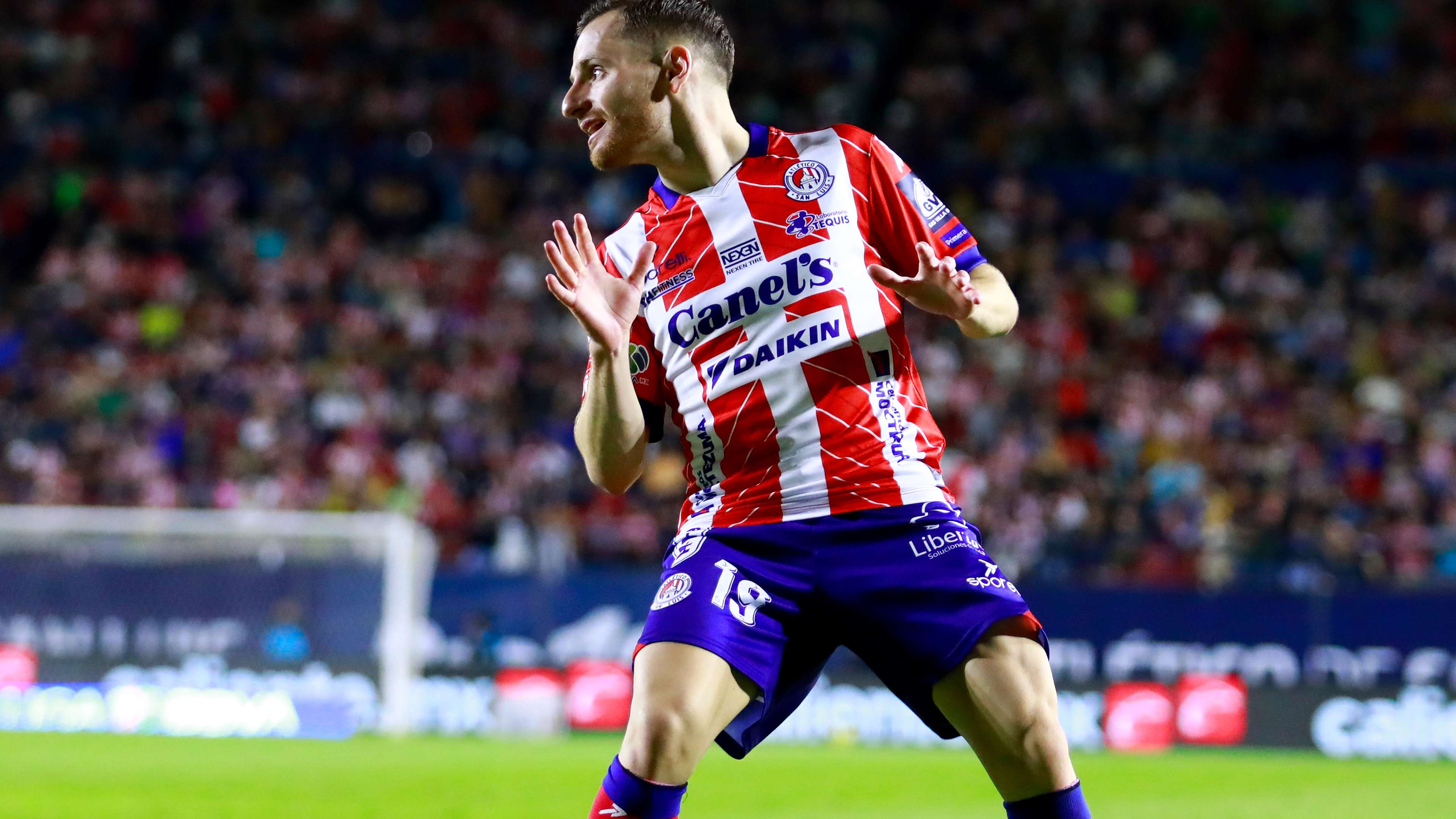 大區賽中 大區賽中