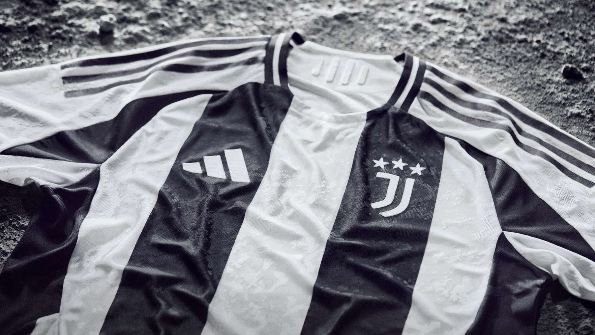 的执教历程 的执教历程